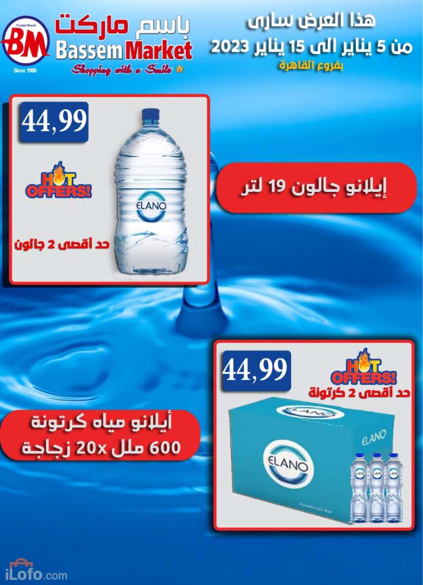 Page 2 at Weekly Deals at Bassem Market Cairo branches 