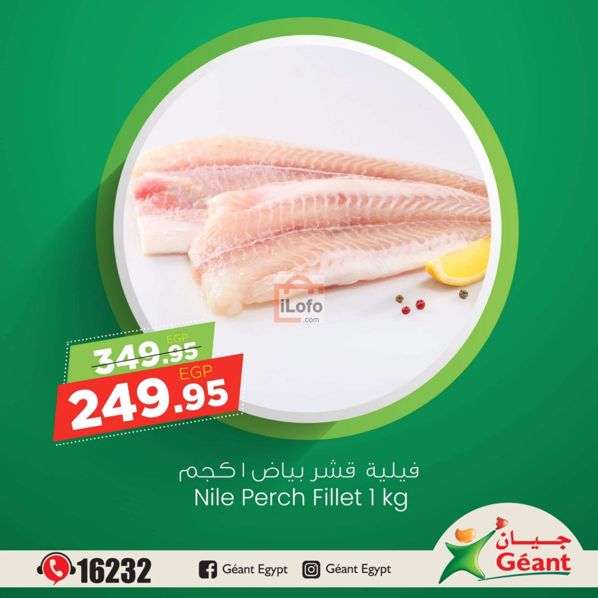 Page 2 at Seafood offers at Geant Egypt