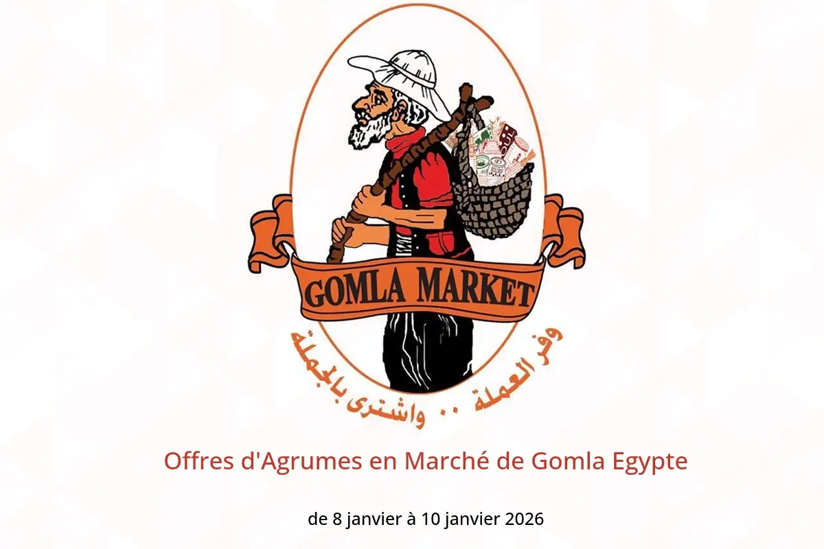 Offres Marché de Gomla Egypte de 8 à 10 janvier 2026 Offres d'Agrumes - Marché de Gomla - Egypte - 8 janvier 2026 – 10 janvier 2026 - Page 1
