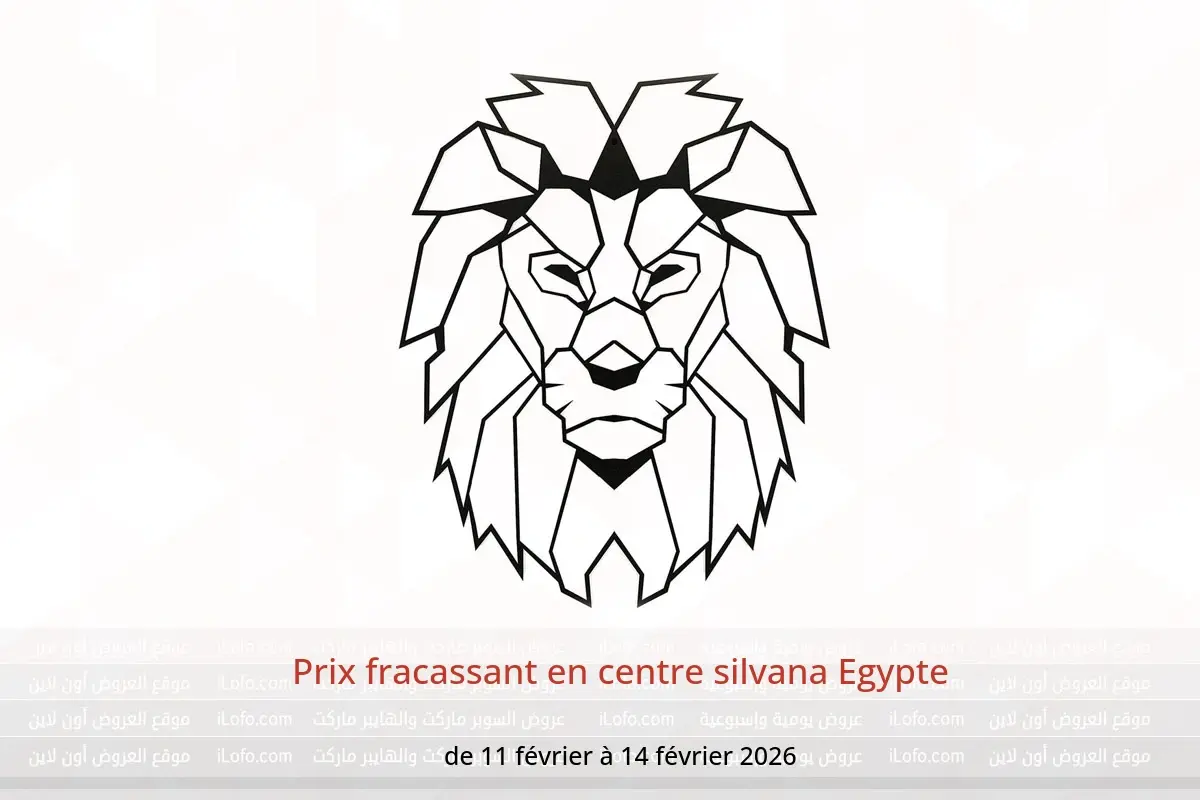 Offres centre silvana Egypte de 11 à 14 février 2026 Prix ​​fracassant - centre silvana - Egypte - 11 fevrier 2026 – 14 fevrier 2026 - Page 1
