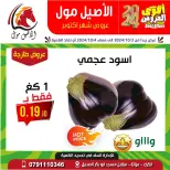 Al Aseel Mall supermarket Jordan Offers from 3 to 4 October 2024 October Deals