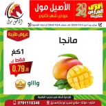 Al Aseel Mall supermarket Jordan Offers from 3 to 4 October 2024 October Deals