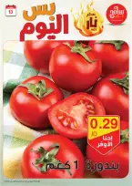 عروض سامح مول الأردن من 13 حتى 14 أكتوبر 2024 عروض قوية