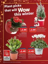 عروض ليدل بريطانيا من 14 حتى 20 نوفمبر 2024 العروض الأسبوعية - ليدل - المملكة المتحدة - 14 نوفمبر 2024 – 20 نوفمبر 2024 - صفحة 10