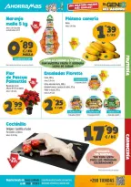 Ofertas de Ahorramas España de 28 noviembre a 11 diciembre 2024 Genio del ahorro