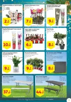 Ofertas de Alcampo España de 18 diciembre a 5 enero 2025 ofertas de navidad - Página 5