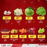 عروض المخازن لبنان الأحد 22 ديسمبر 2024 عروض اليوم الواحد