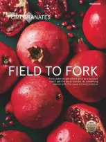 عروض تيسكو بريطانيا من 29 حتى 31 ديسمبر 2024 عروض ممتعة - تيسكو - المملكة المتحدة - 29 ديسمبر 2024 – 31 ديسمبر 2024 - صفحة 17