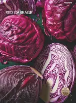 عروض تيسكو بريطانيا من 29 حتى 31 ديسمبر 2024 عروض ممتعة - تيسكو - المملكة المتحدة - 29 ديسمبر 2024 – 31 ديسمبر 2024 - صفحة 21