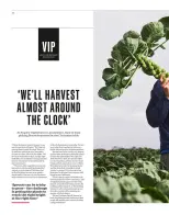 عروض ويتروس سوبر ماركت بريطانيا من 19 ديسمبر حتى 9 يناير 2025 عروض وقت المفاجأت - ويتروس سوبر ماركت - المملكة المتحدة - 19 ديسمبر 2024 – 9 يناير 2025 - صفحة 34