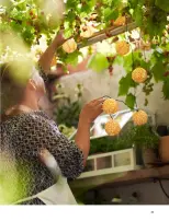 IKEA USA Offers from 29 April to 31 December 2024 Outdoor Living offers