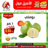 Al Aseel Mall Jordan Offers from 31 December to 1 January 2025 Best Deals