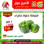 Al Aseel Mall Jordan Offers from 31 December to 1 January 2025 Best Deals