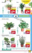 Ofertas de Lidl España de 7 a 12 enero 2025 Ofertas XXL
