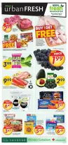 Sobeys Canada Offers from 9 to 15 January 2025 Special Offers