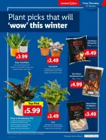 عروض ليدل بريطانيا من 16 حتى 22 يناير 2025 التوفير - ليدل - المملكة المتحدة - 16 يناير 2025 – 22 يناير 2025 - صفحة 21