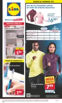 Ofertas de Lidl España de 13 a 19 enero 2025 Ofertas de bazar - Página 1