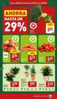 Ofertas de ALDI España de 5 a 11 febrero 2025 ofertas semanales