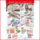 Ofertas de Mercado BIM Marruecos de 14 a 20 marzo 2025 Eid y aumentan las ofertas - Mercado BIM - Marruecos - 14 marzo 2025 – 20 marzo 2025 - Página 11