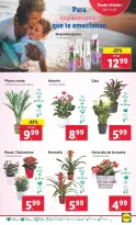 Ofertas de Lidl España de 28 abril a 4 mayo 2025 Ofertas de bazar - Página 11