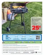 Ofertas de Carrefour España de 11 abril a 15 mayo 2025 JARDIN Ofertas - Página 33