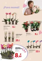Ofertas de Alcampo España de 22 abril a 4 mayo 2025 Ofertas Mamá, eres nuestro mejor regalo - Página 2