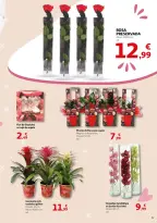 Ofertas de Alcampo España de 22 abril a 4 mayo 2025 Ofertas Mamá, eres nuestro mejor regalo - Página 5