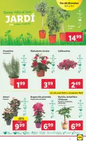 Ofertas de Lidl España de 12 a 18 mayo 2025 ofertas semanales - Página 44