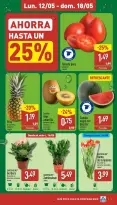 Offres ALDI Espagne de 12 à 18 mai 2025 Combien il coûte peu d'acheter bien - Page 3