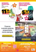 Ofertas de Ahorramas España de 26 junio a 9 julio 2025 Rebajón de precios