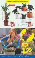 Ofertas de Lidl España de 14 a 20 julio 2025 Ofertas de bazar - Página 25