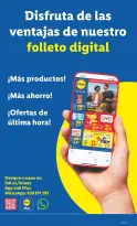 Ofertas de Lidl España de 3 a 9 noviembre 2025 Ofertas de bazar - Página 29