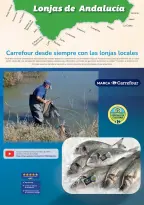 Ofertas de Carrefour España de 10 a 23 noviembre 2025 Ofertas en artículos alimenticios locales, dulces, bebidas - Página 2