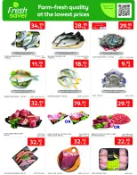 الانتقال إلى الصفحة 3 من 54