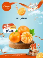عروض كازيون ماركت مصر من 27 حتى 30 نوفمبر 2025 عروض الفريش - صفحة 6