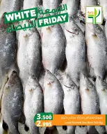 Agricultural food Kuwait Offers from 29 November to 5 December 2025 White Friday Deals