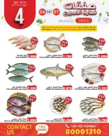 Ofertas de Mercados Ramez Bahréin de 4 a 7 diciembre 2025 Ofertas de fin de semana - Mercados Ramez - Bahréin - 4 diciembre 2025 – 7 diciembre 2025 - Página 4
