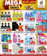 الانتقال إلى الصفحة 9 من 13