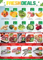 الانتقال إلى الصفحة 12 من 12