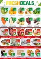 الانتقال إلى الصفحة 12 من 12