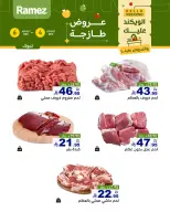 الانتقال إلى الصفحة 6 من 7