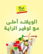 الانتقال إلى الصفحة 1 من 5