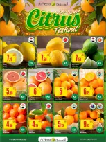 الانتقال إلى الصفحة 16 من 16