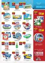 الانتقال إلى الصفحة 15 من 49