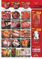 الانتقال إلى الصفحة 3 من 49