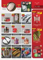 الانتقال إلى الصفحة 4 من 49