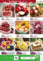 الانتقال إلى الصفحة 21 من 41