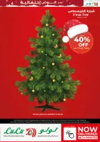 الانتقال إلى الصفحة 41 من 41