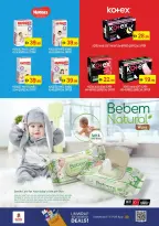 الانتقال إلى الصفحة 22 من 42