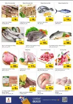 الانتقال إلى الصفحة 16 من 29